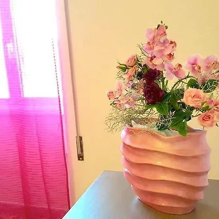 Apartament Coco's House *